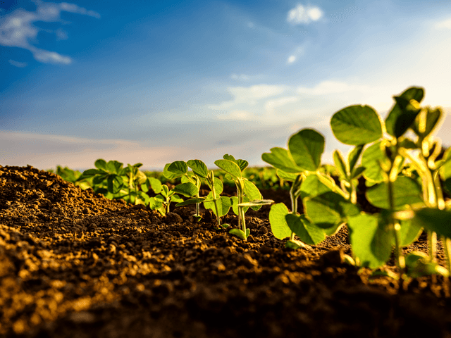 Sustainability Solutions